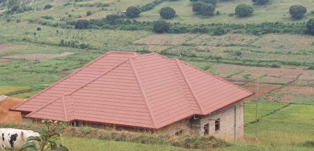 Roofing Sheets
